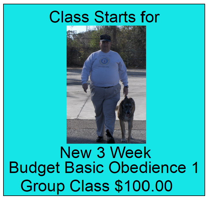 Scheurman's K9 Academy Dog Training Jacksonville Florida